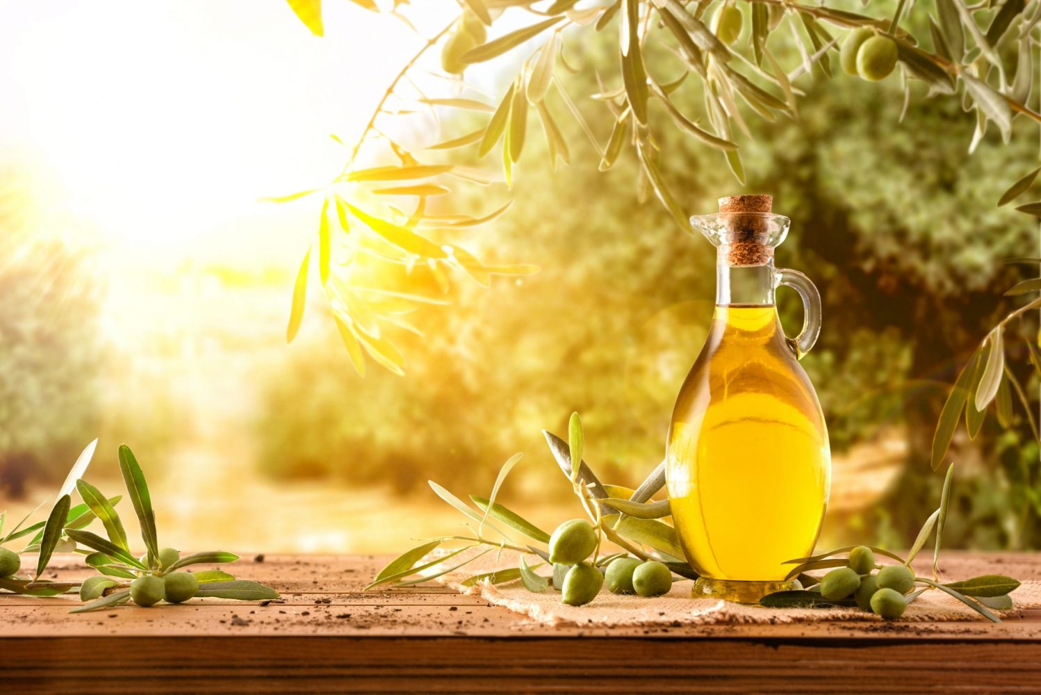La Raccolta delle Olive, Come e Quando Avviene